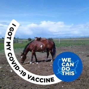 Meet your Posher, Rae